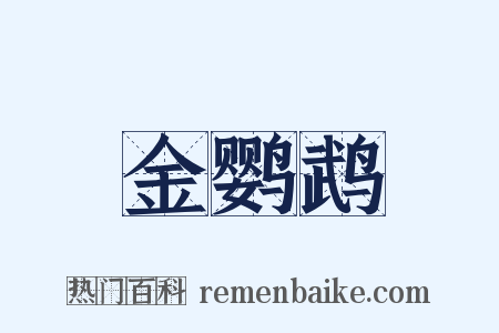 金鹦鹉是什么意思的图片